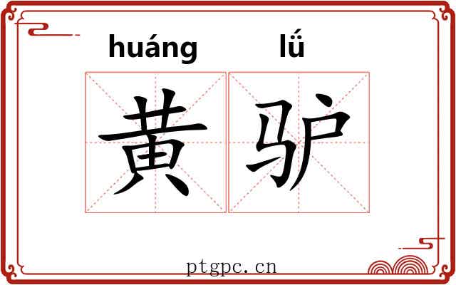 黄驴