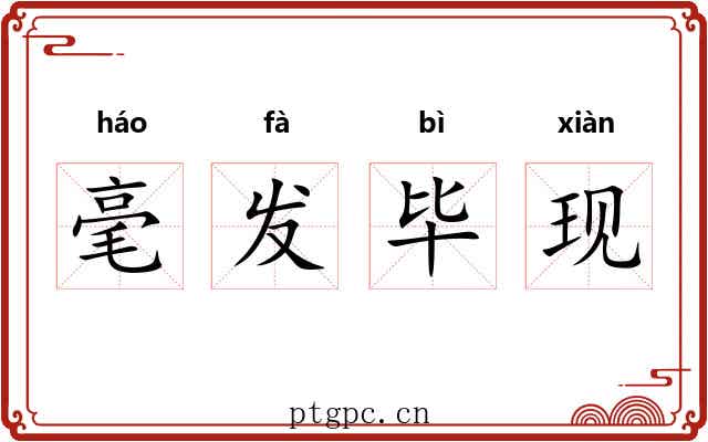 毫发毕现
