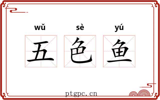 五色鱼 五色鱼