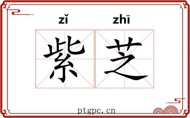 紫芝 紫芝