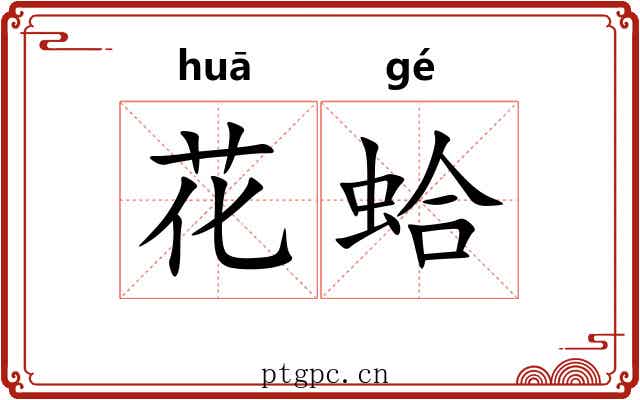 花蛤