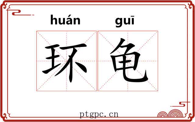 环龟 环龟
