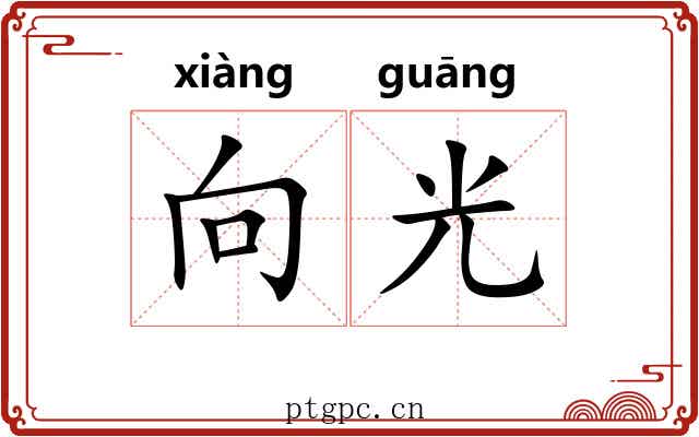 向光 向光