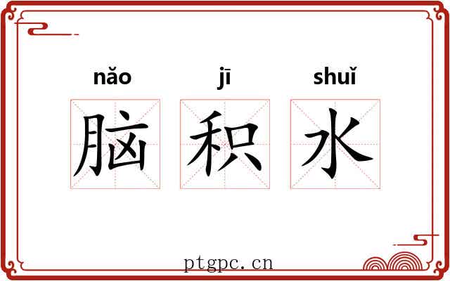 脑积水 脑积水