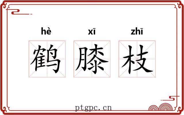 鹤膝枝 鹤膝枝