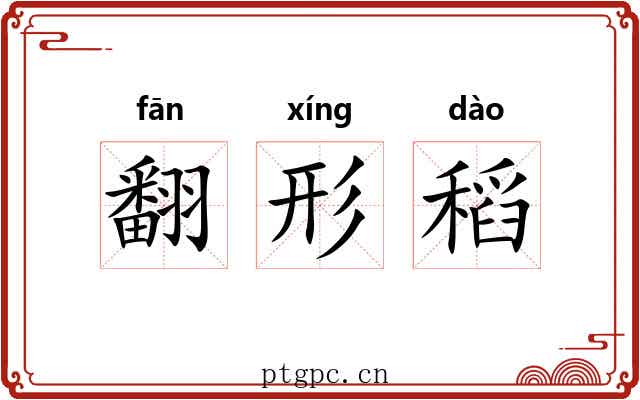 翻形稻 翻形稻