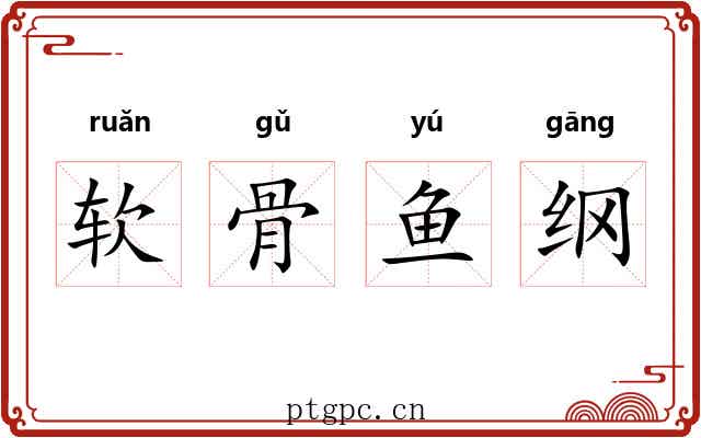 软骨鱼纲 软骨鱼纲