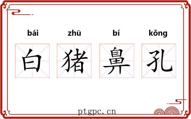 白猪鼻孔