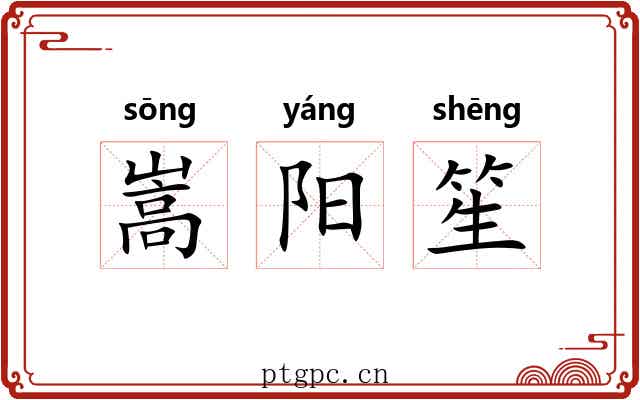 嵩阳笙 嵩阳笙