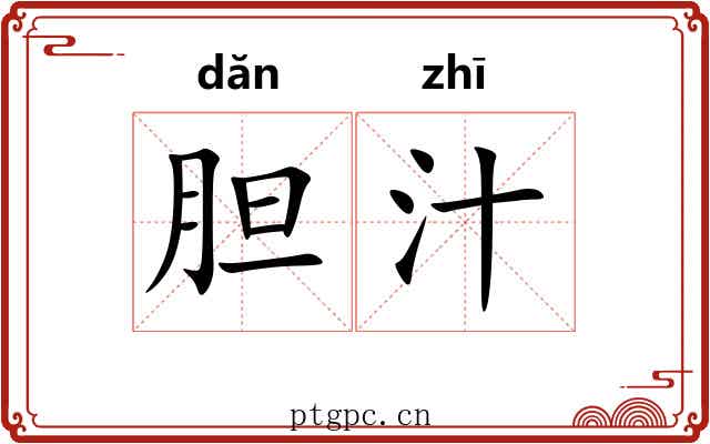 胆汁