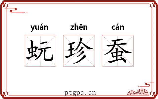 蚖珍蚕 蚖珍蚕