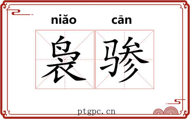 袅骖