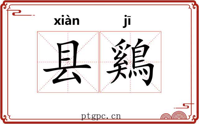 县鷄