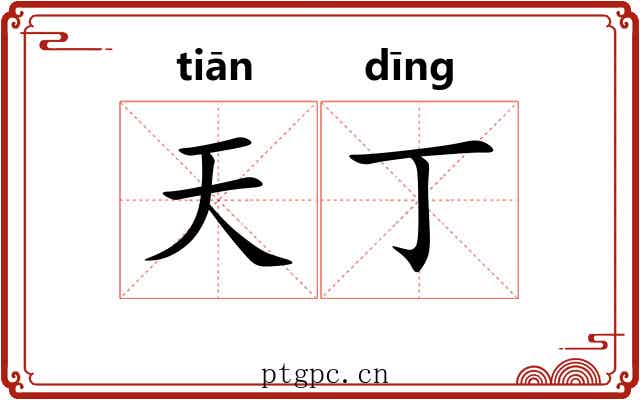 天丁