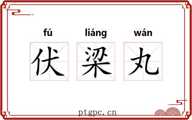 伏梁丸 伏梁丸