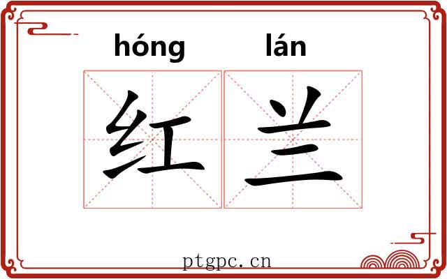 红兰 红兰