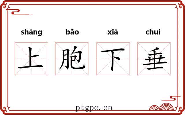 上胞下垂 上胞下垂
