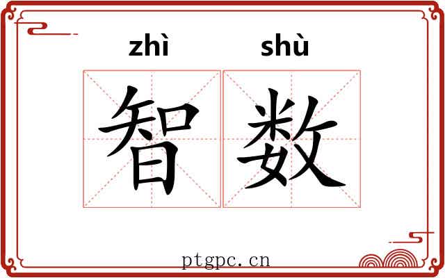 智数 智数