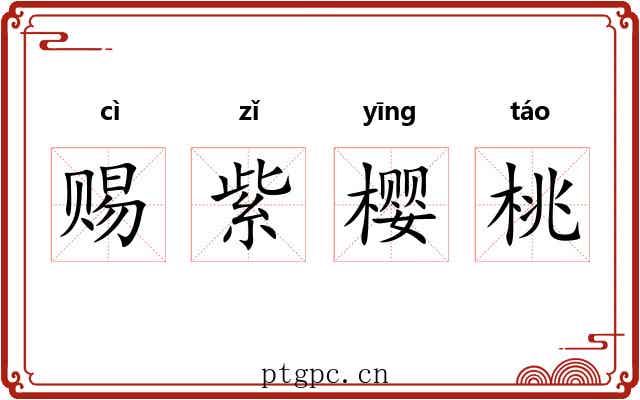 赐紫樱桃 赐紫樱桃