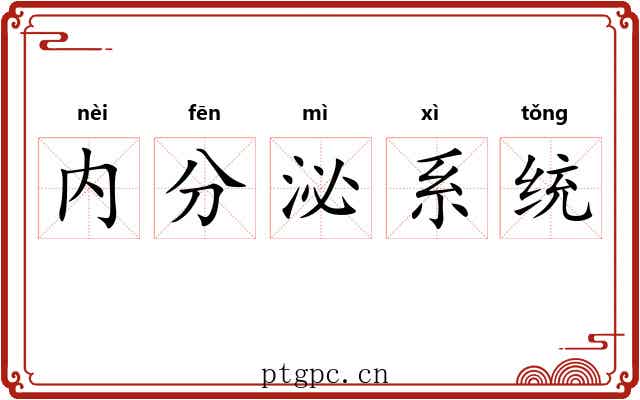 内分泌系统 内分泌系统