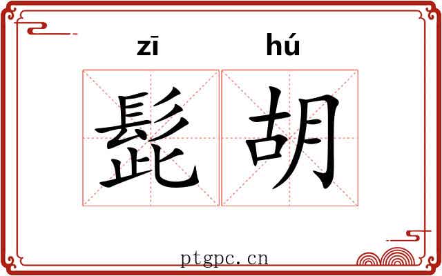 髭胡 髭胡