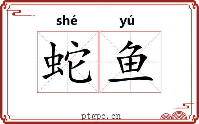 蛇鱼
