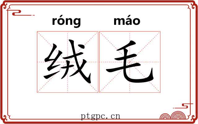 绒毛 绒毛