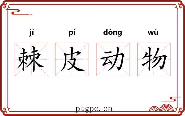 棘皮动物 棘皮动物