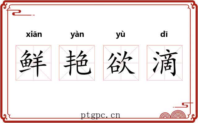 鲜艳欲滴 鲜艳欲滴
