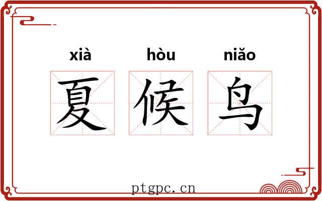 夏候鸟