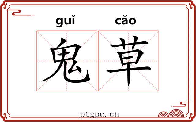 鬼草