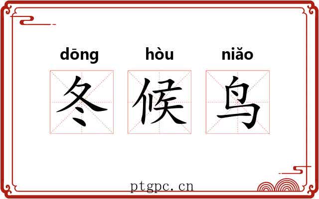 冬候鸟 冬候鸟