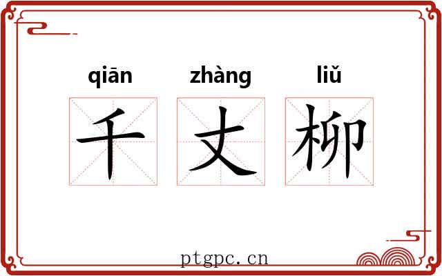 千丈柳 千丈柳
