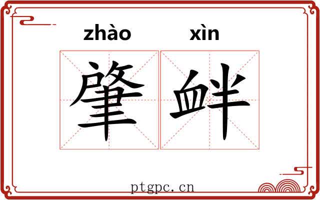 肇衅