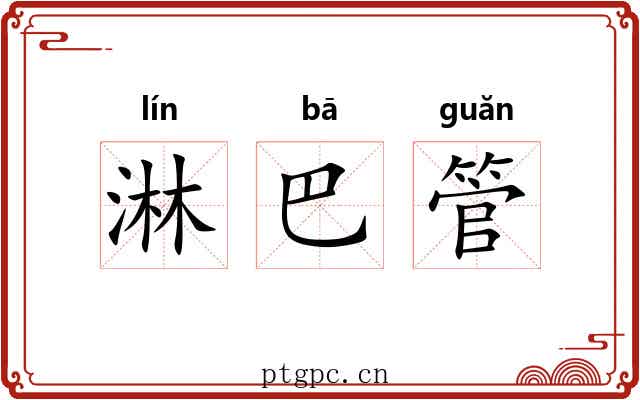 淋巴管 淋巴管