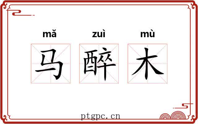 马醉木 马醉木