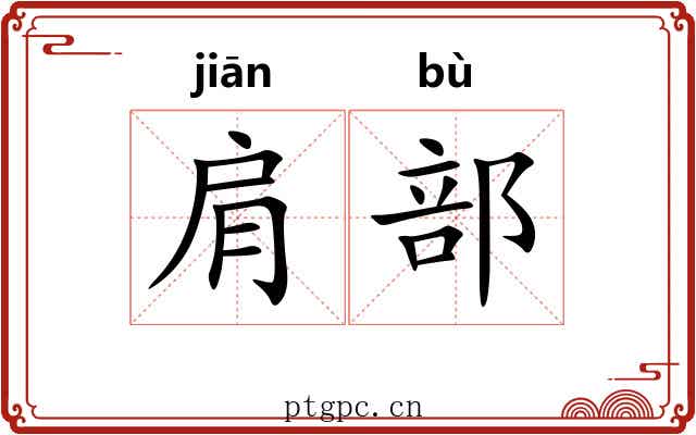 肩部