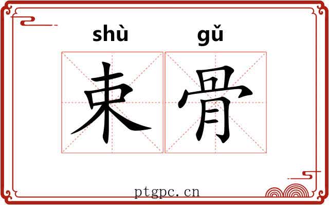 束骨