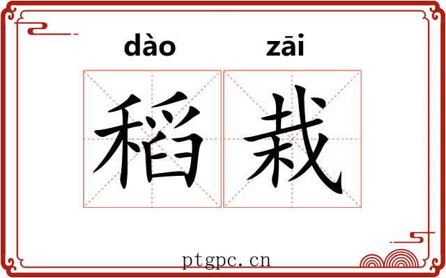 稻栽
