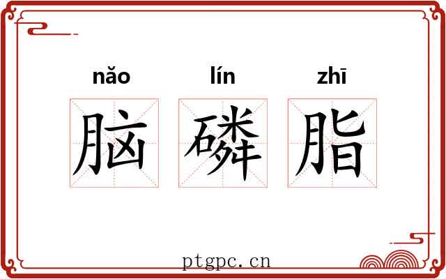 脑磷脂 脑磷脂
