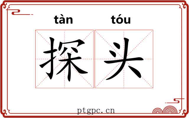 探头 探头