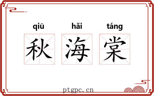 秋海棠 秋海棠