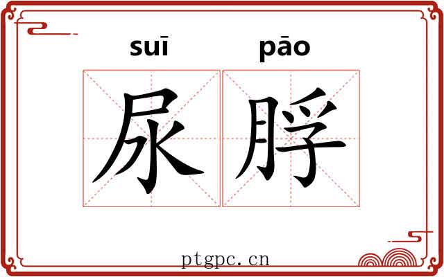尿脬