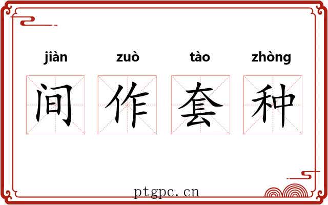 间作套种 间作套种
