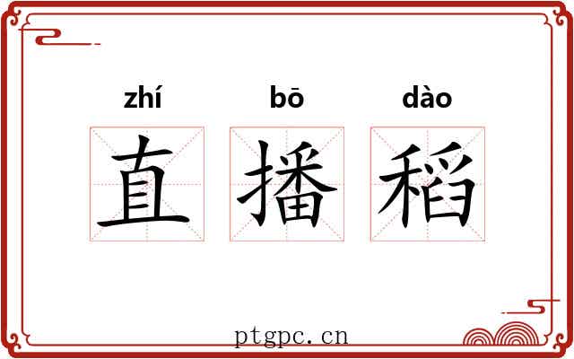 直播稻 直播稻