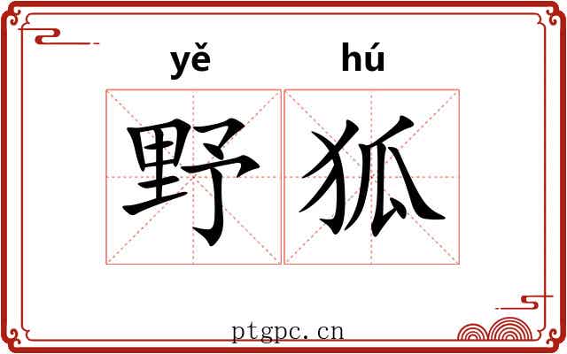野狐 野狐