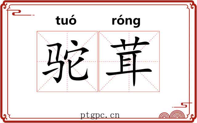 驼茸