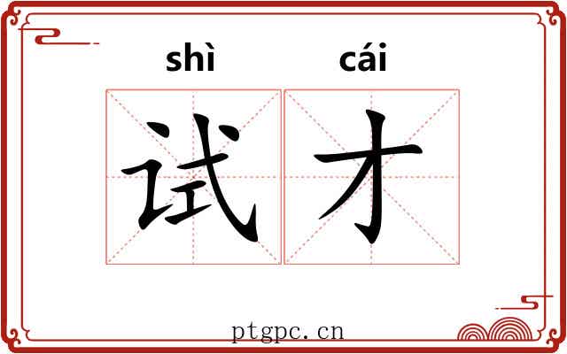 试才