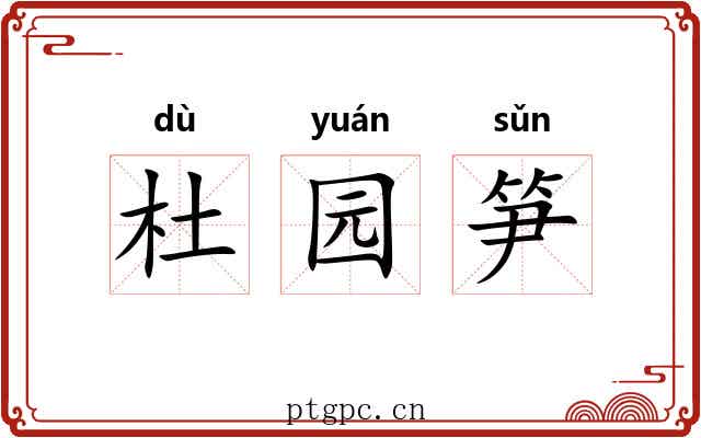 杜园笋