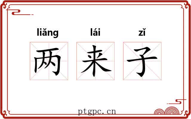 两来子 两来子